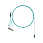 OM4 12-fiber round harness cable, plenum
