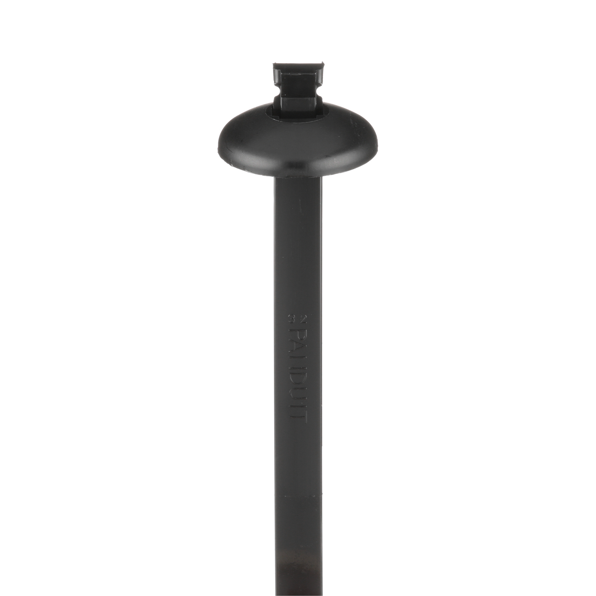 Panel Mount Tie w/o Pilot, 10.1L (257mm)