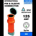 125 Amp, 250 Volt, IEC 309-1 & 309-2, 2P, 3W, International-Rated Pin & Sleeve Connector, Industrial Grade, IP67, Watertight - Blue