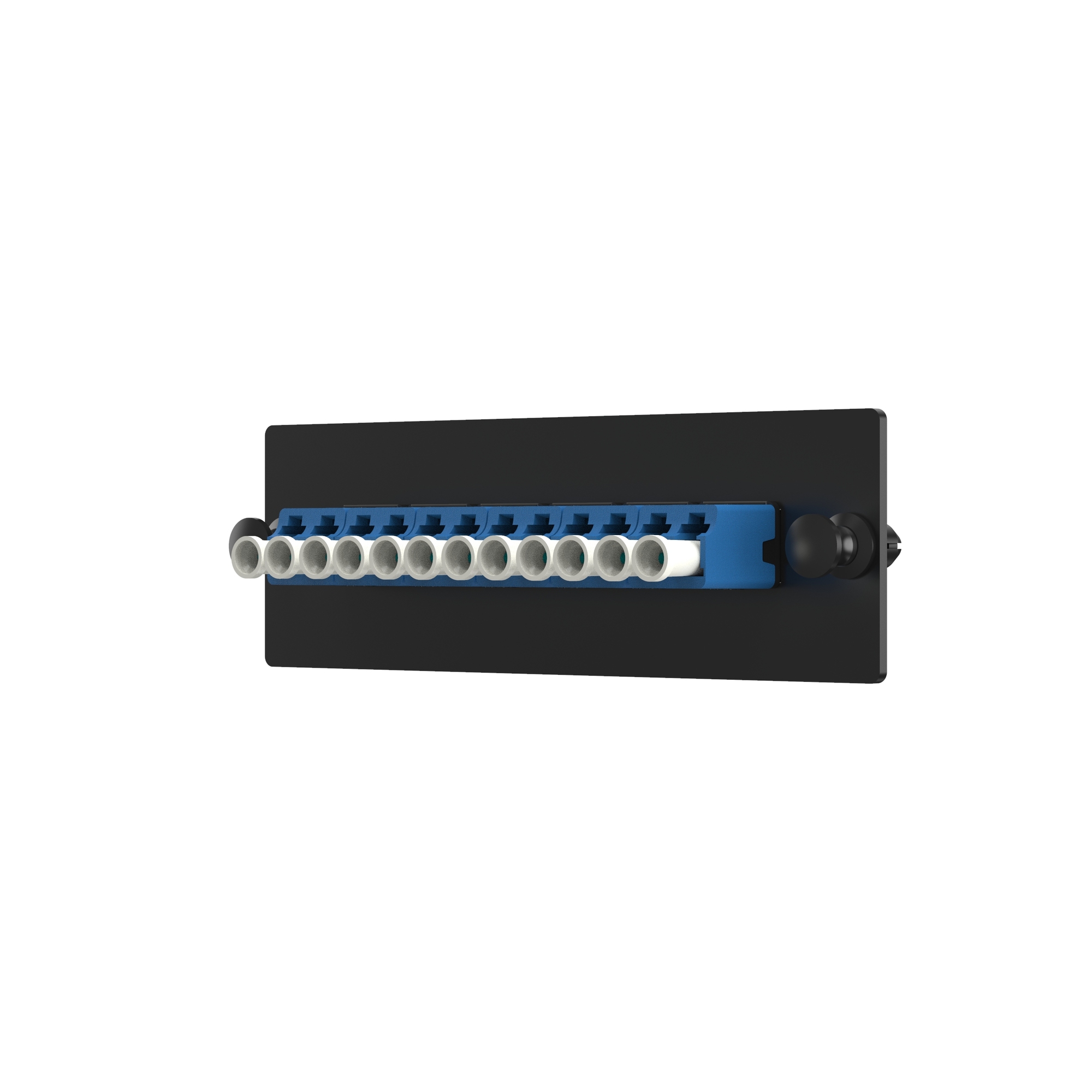 FAP w/12 LC Simpl Adapters (BU) Zirconia