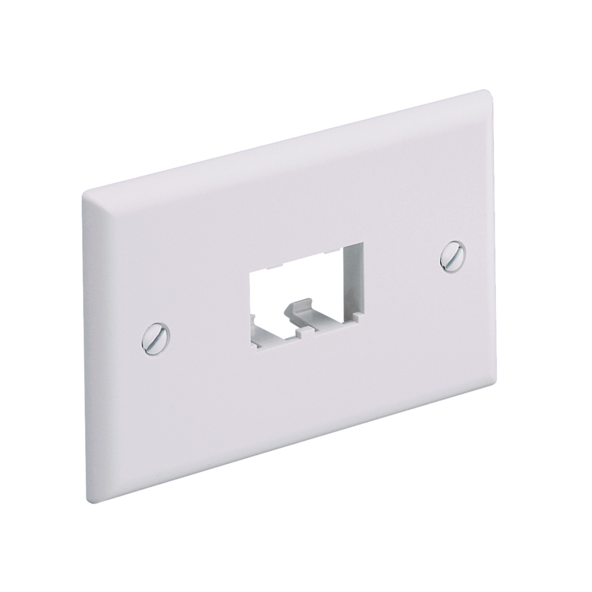 Faceplate, 2 Port, Single Gang, Horizona