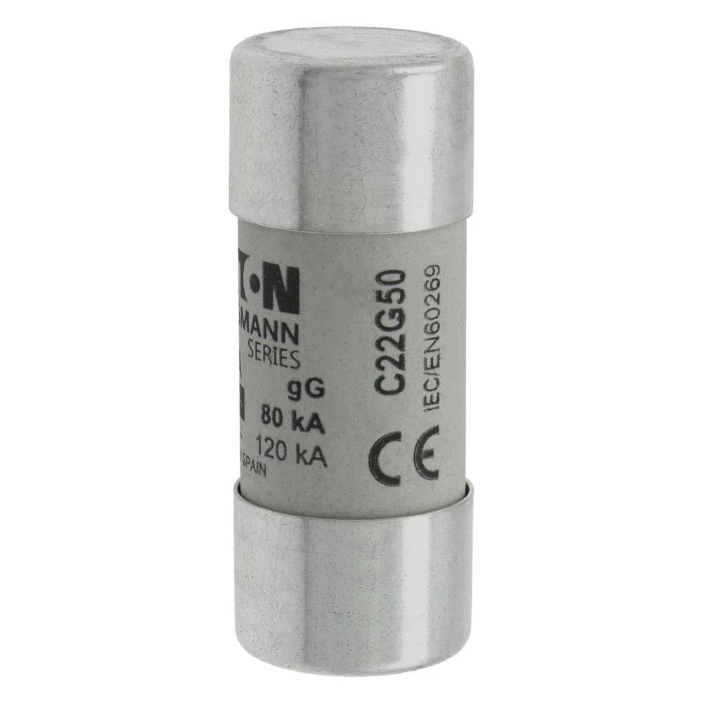 Bussmann_C22G50.jpg