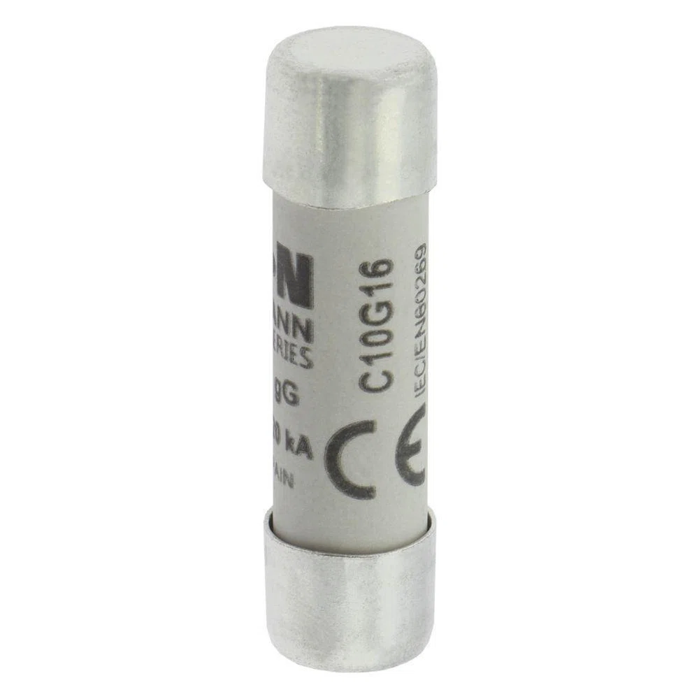 Bussmann_C10G16.jpg