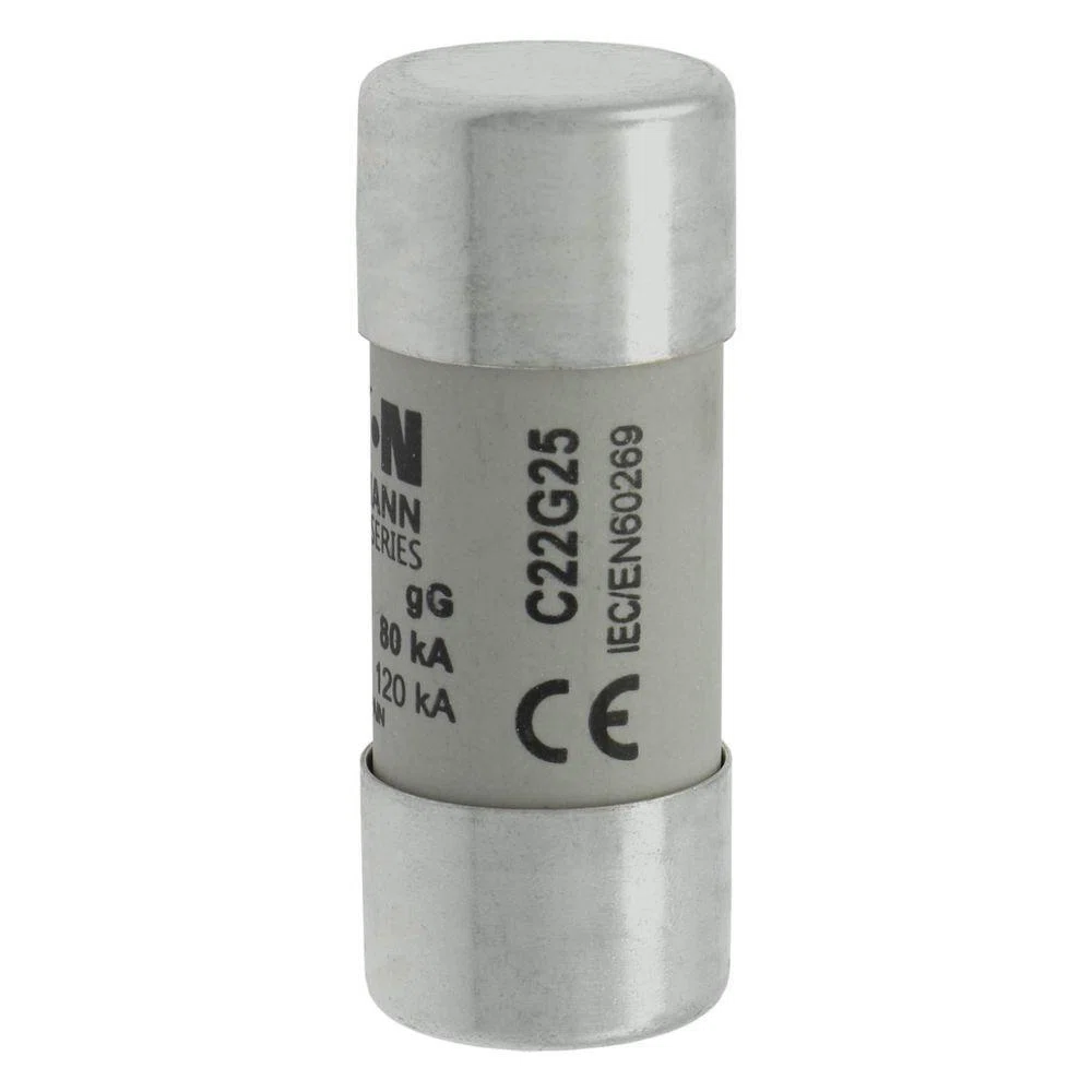 Bussmann_C22G25.jpg