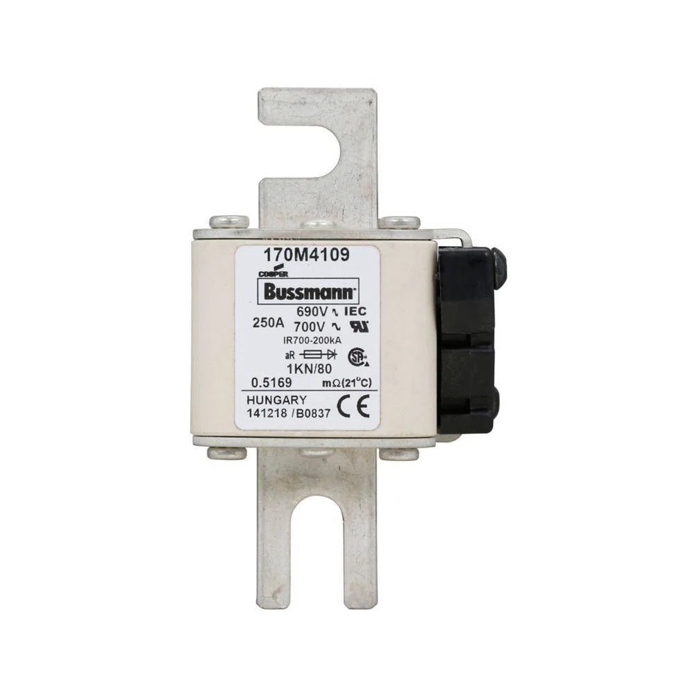 Bussmann_170M4109.jpg