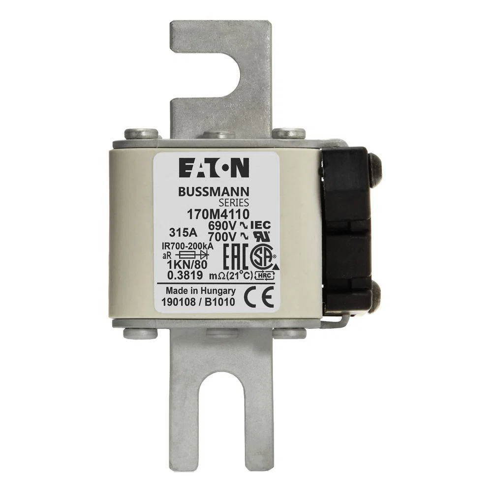 Bussmann_170M4110.jpg