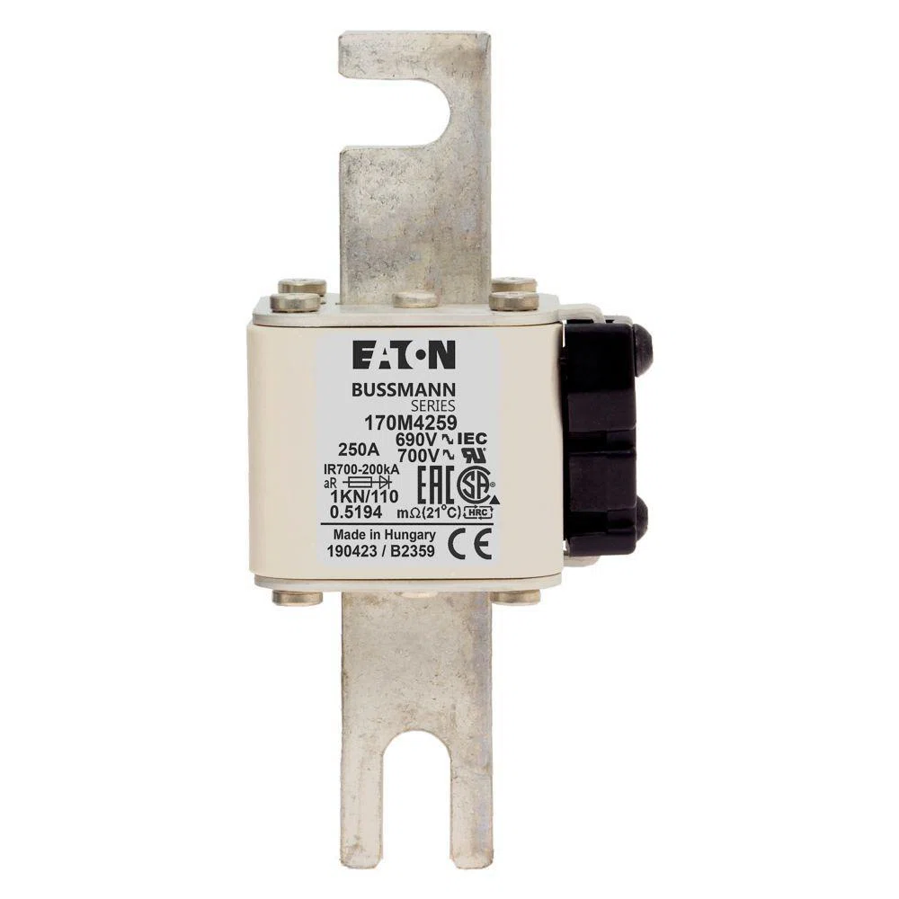 Bussmann_170M4259.jpg