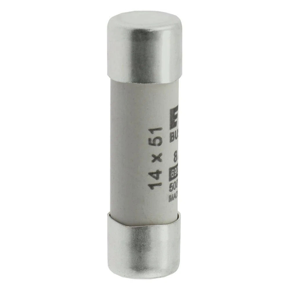 Bussmann_C14G8_1.jpg