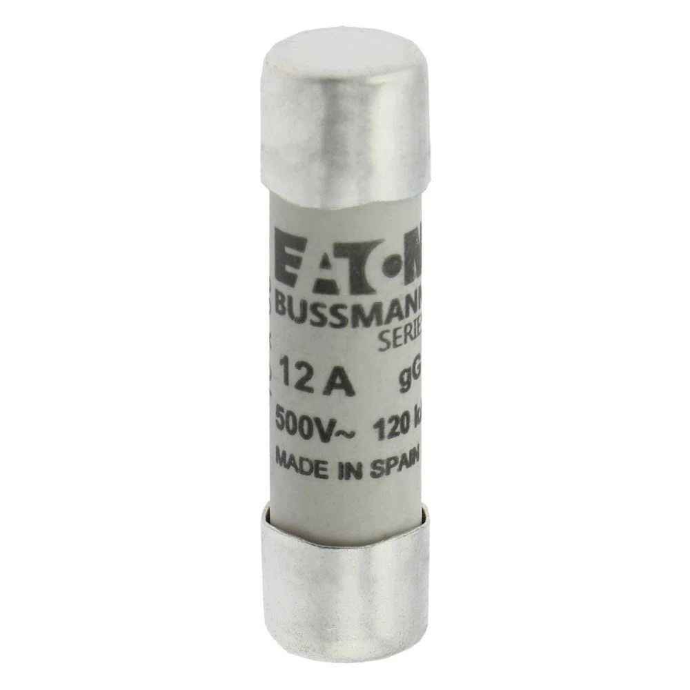 Bussmann_C10G12_2.jpg
