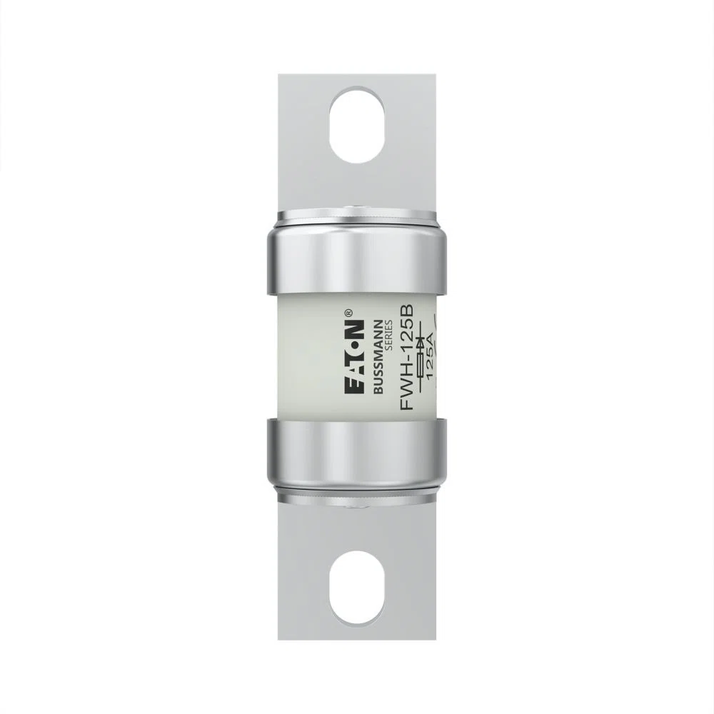 Bussmann_FWH-125B_2.jpg