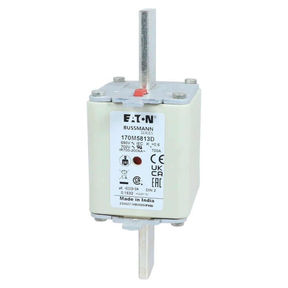 Bussmann_170M5813D_5.jpg