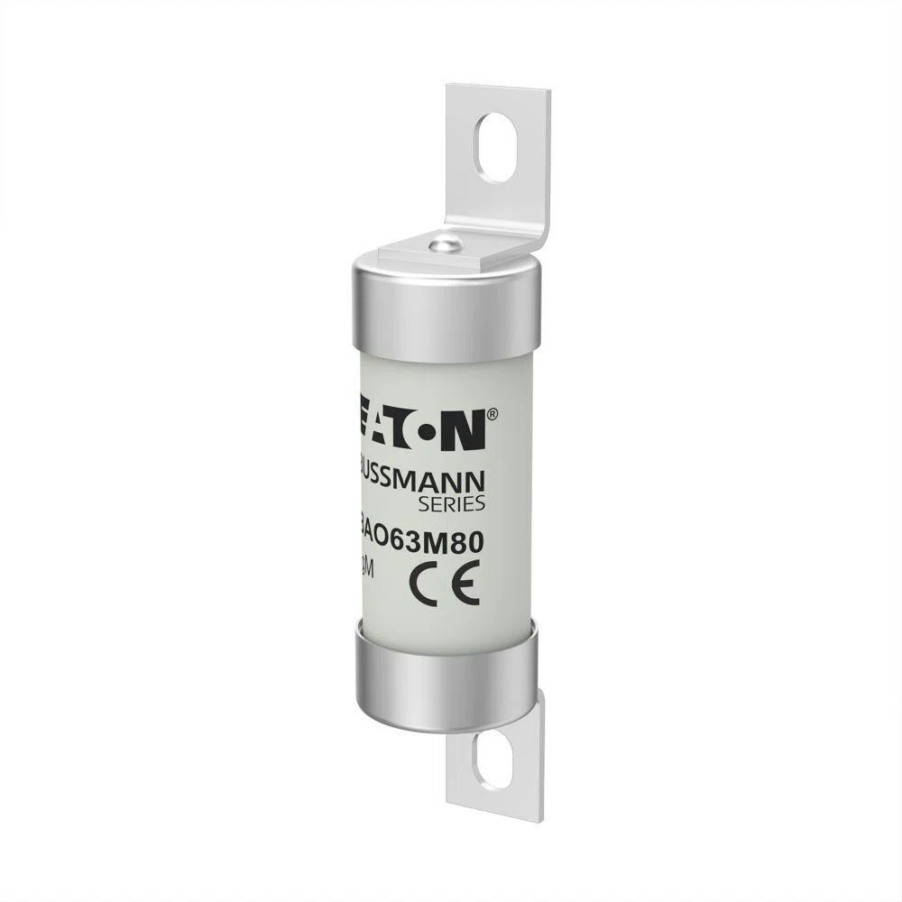 Bussmann_BAO63M100_2.jpg
