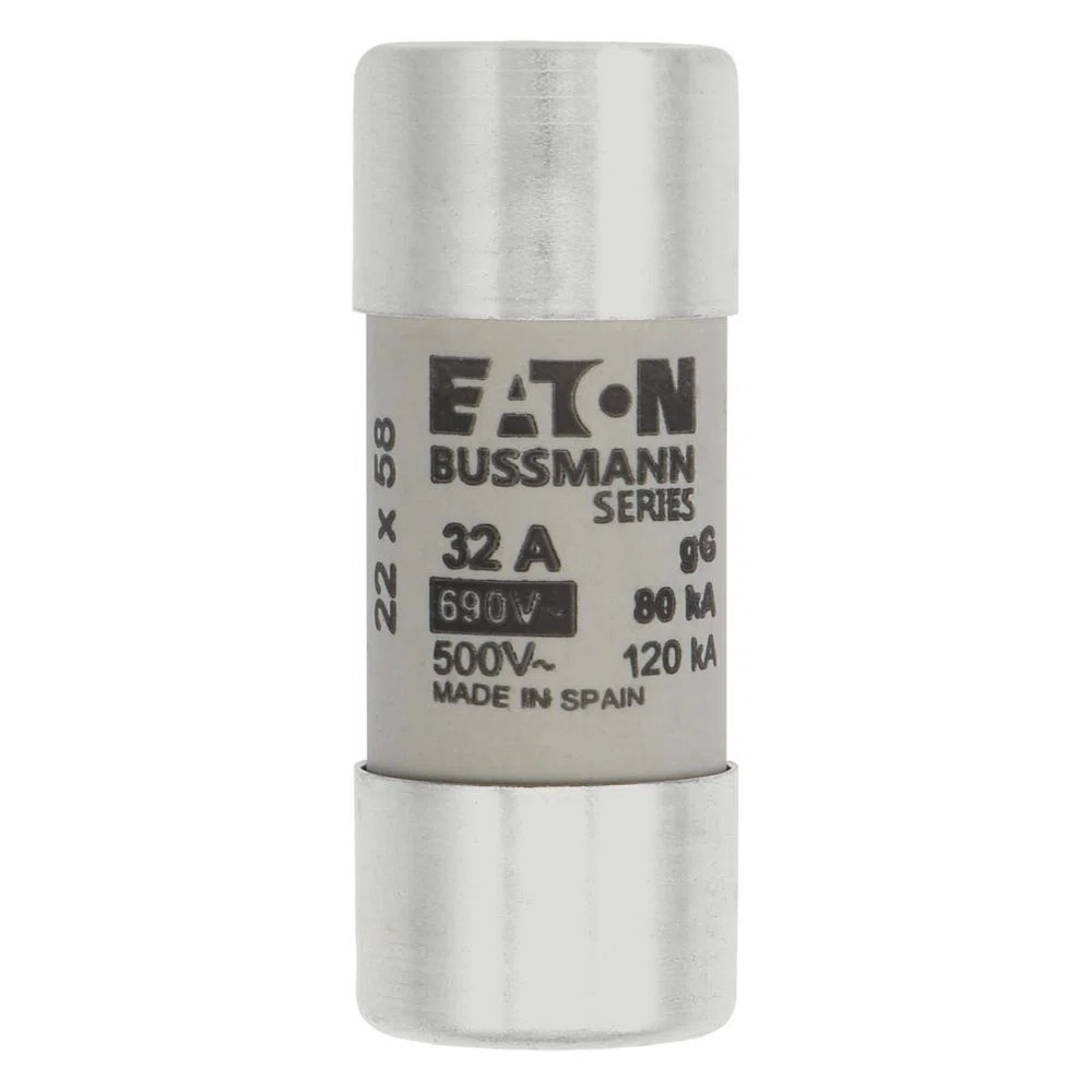 Bussmann_C22G32_5.jpg