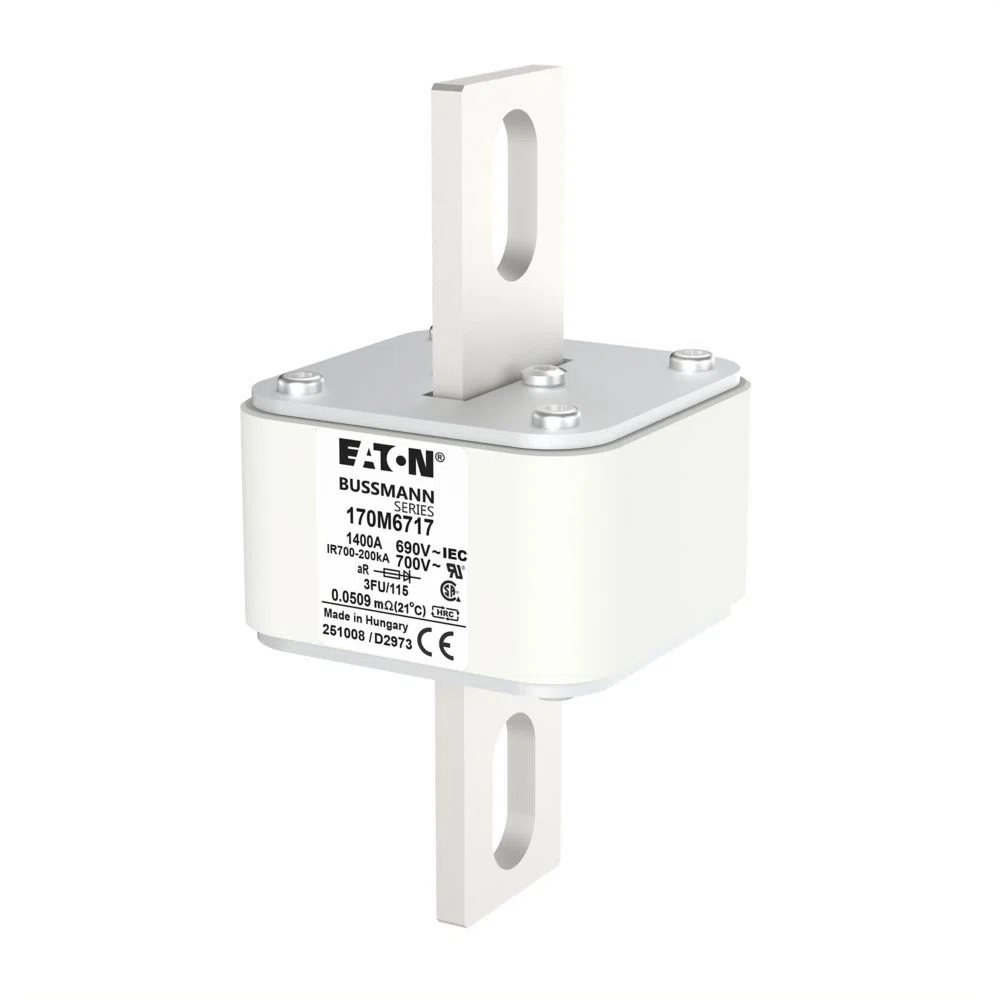 Bussmann_170M6717.jpg