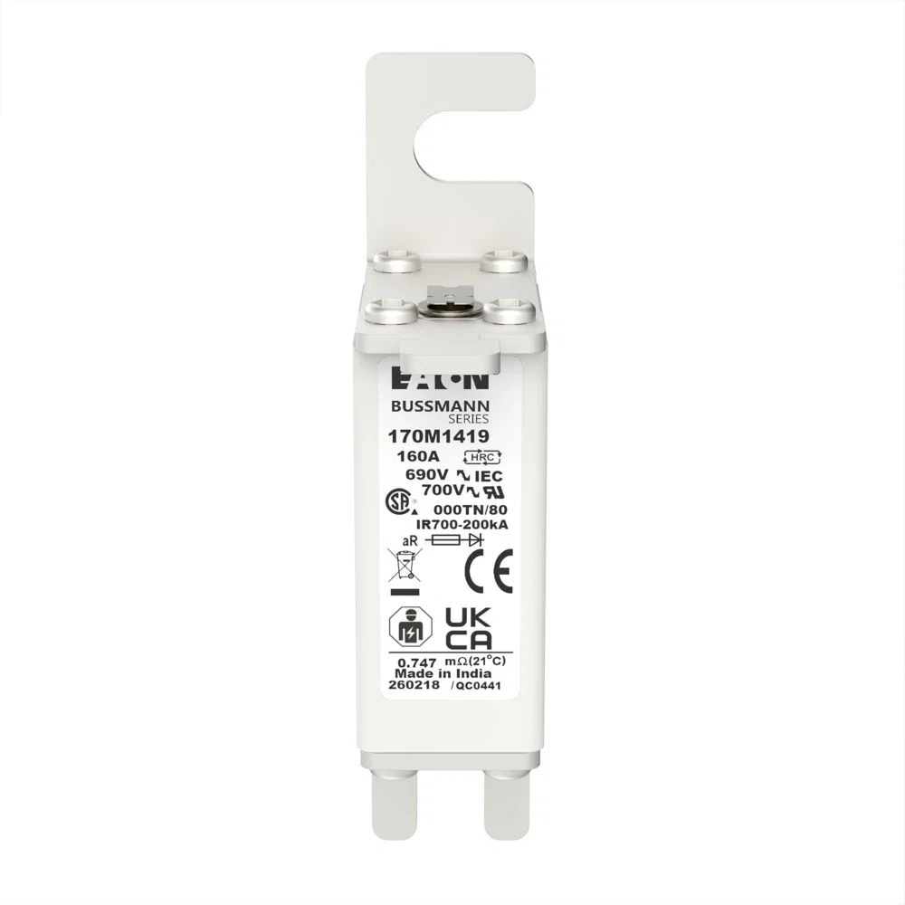 Bussmann_170M1419.jpg