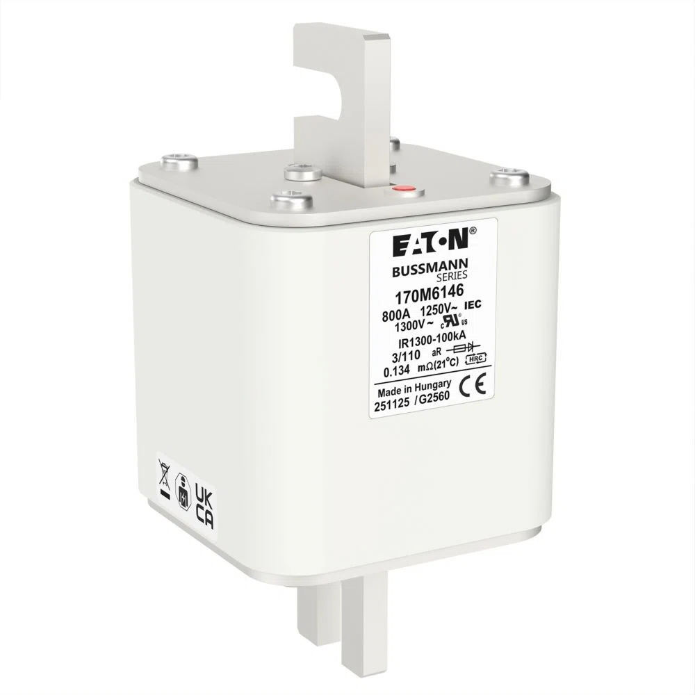 Bussmann_170M6147.jpg