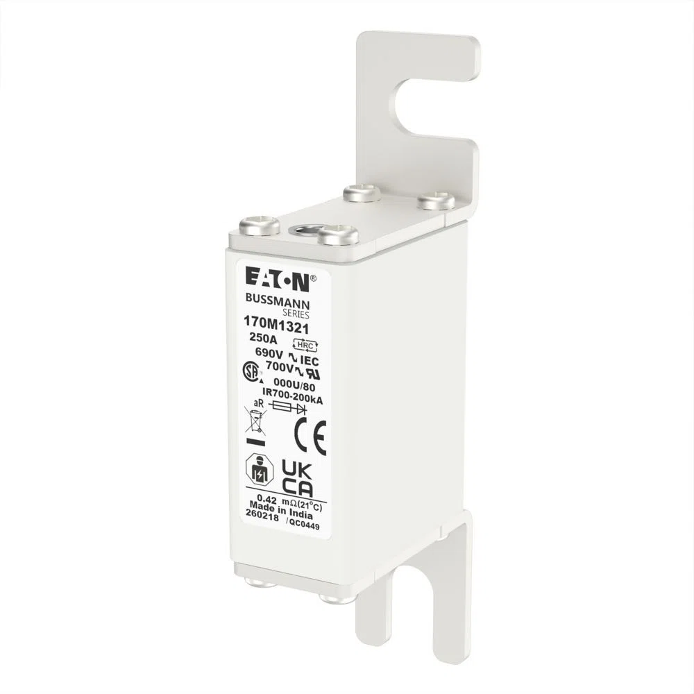 Bussmann_170M1321_1.jpg