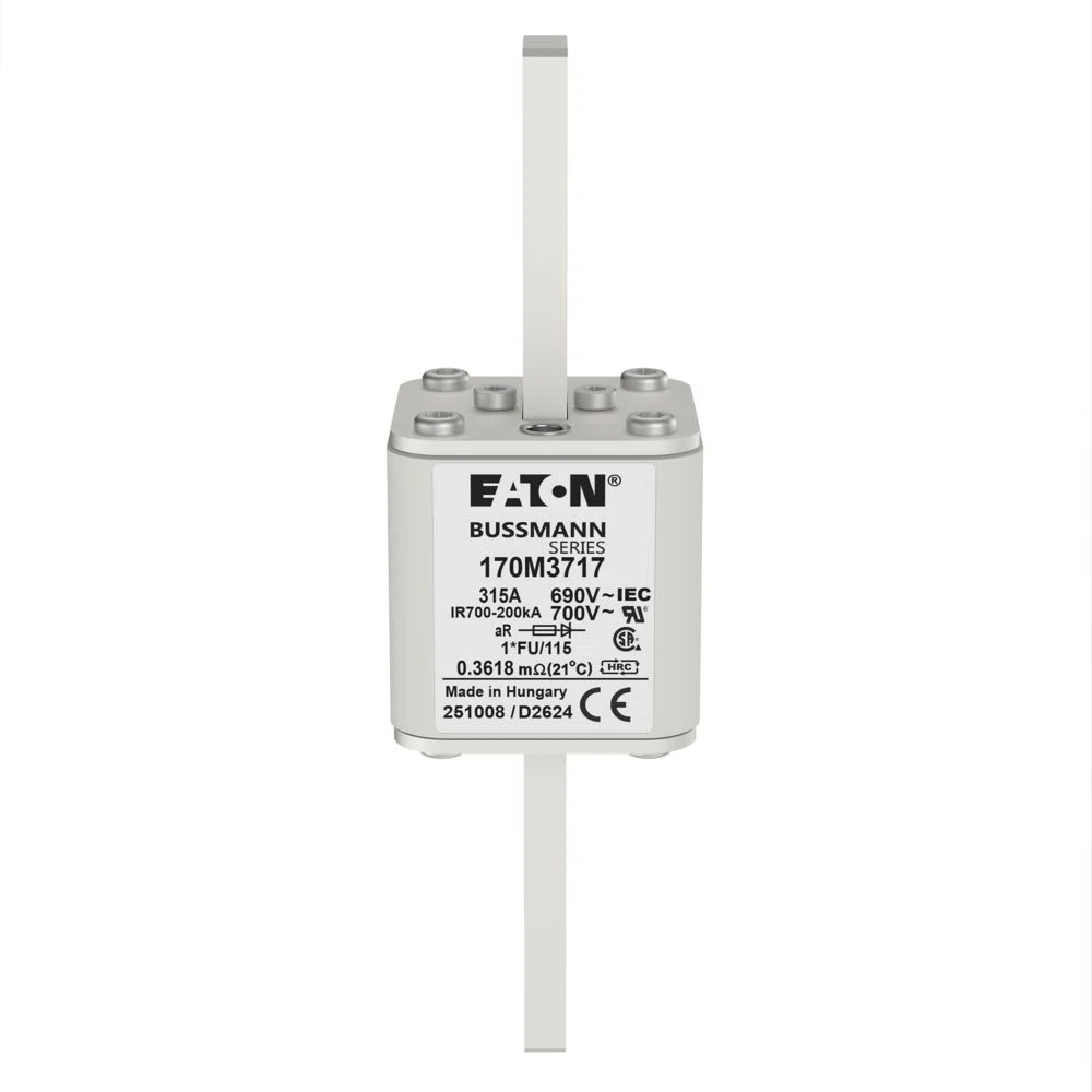 Bussmann_170M3717.jpg