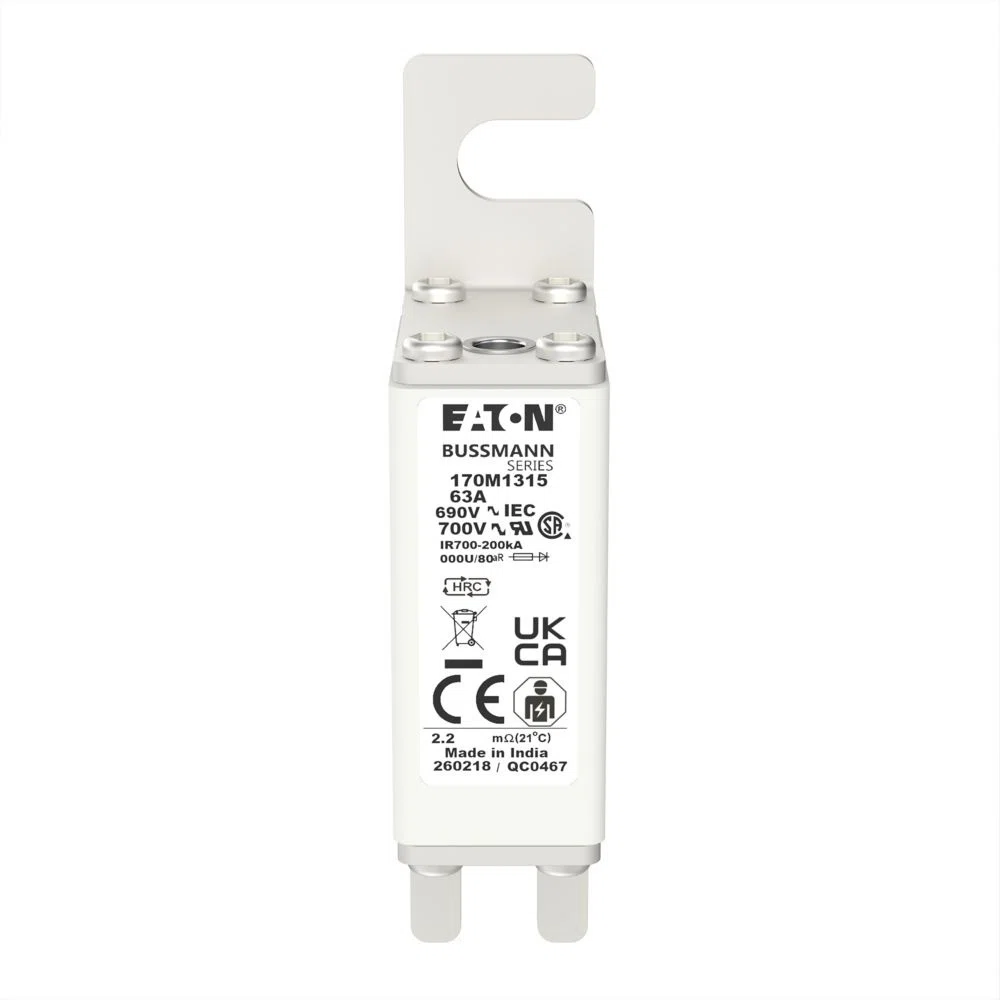 Bussmann_170M1315_1.jpg