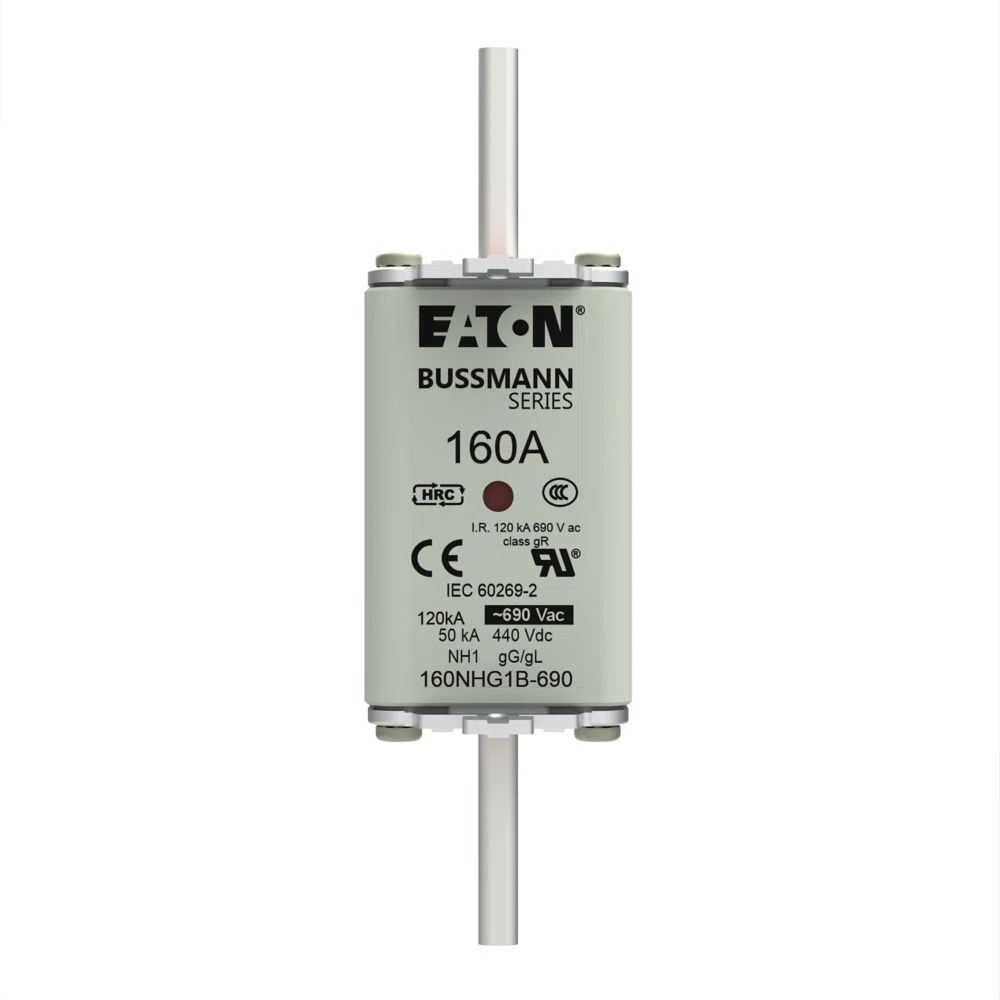 Bussmann_160NHG1B-690.jpg