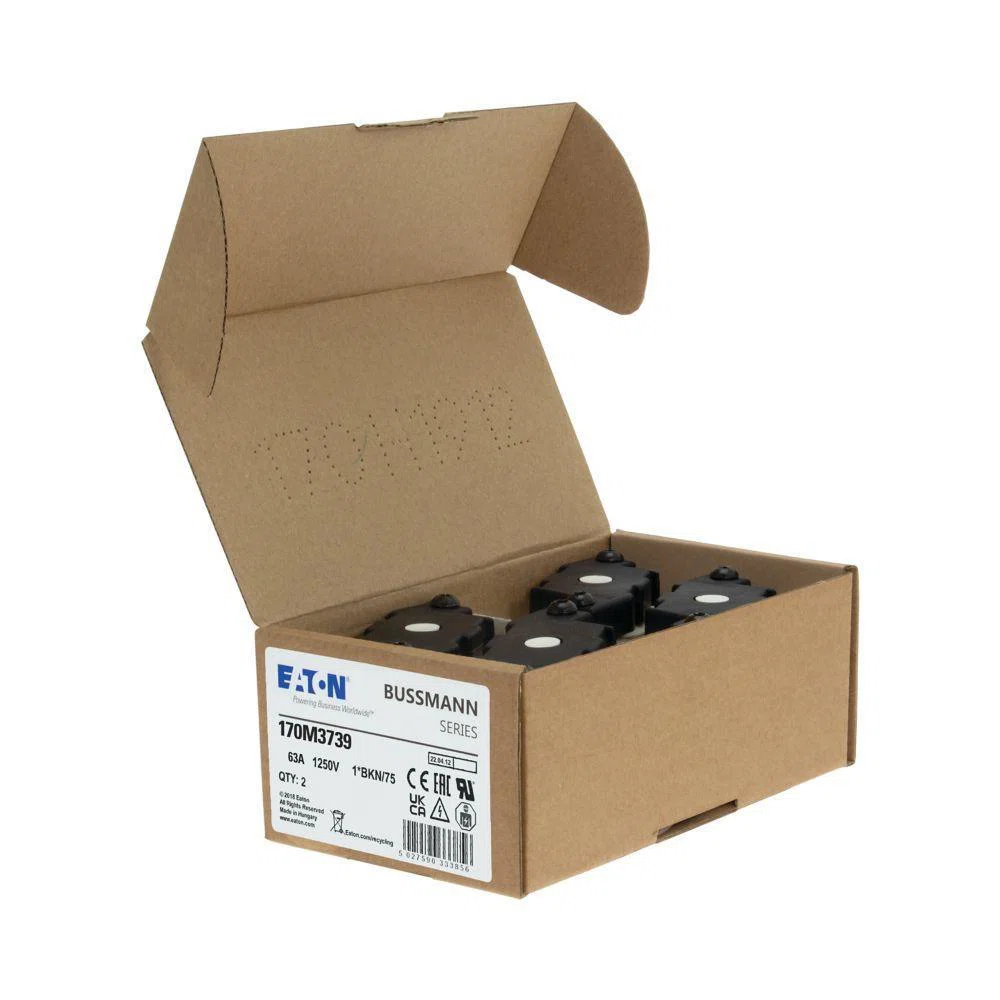 Bussmann_170M3739.jpg