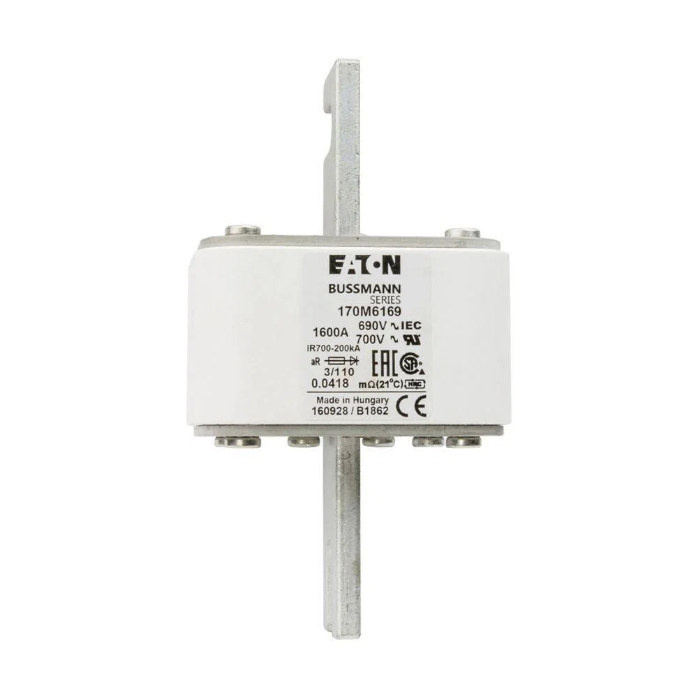 Bussmann_170M6169.jpg