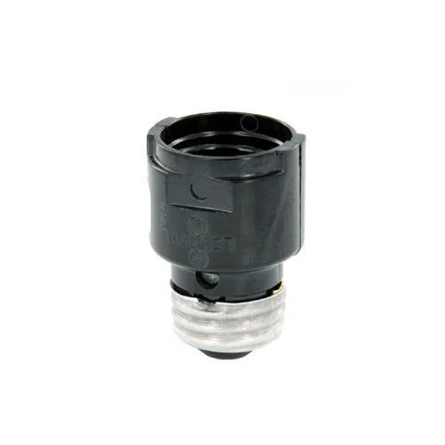 Leviton_2006.jpg
