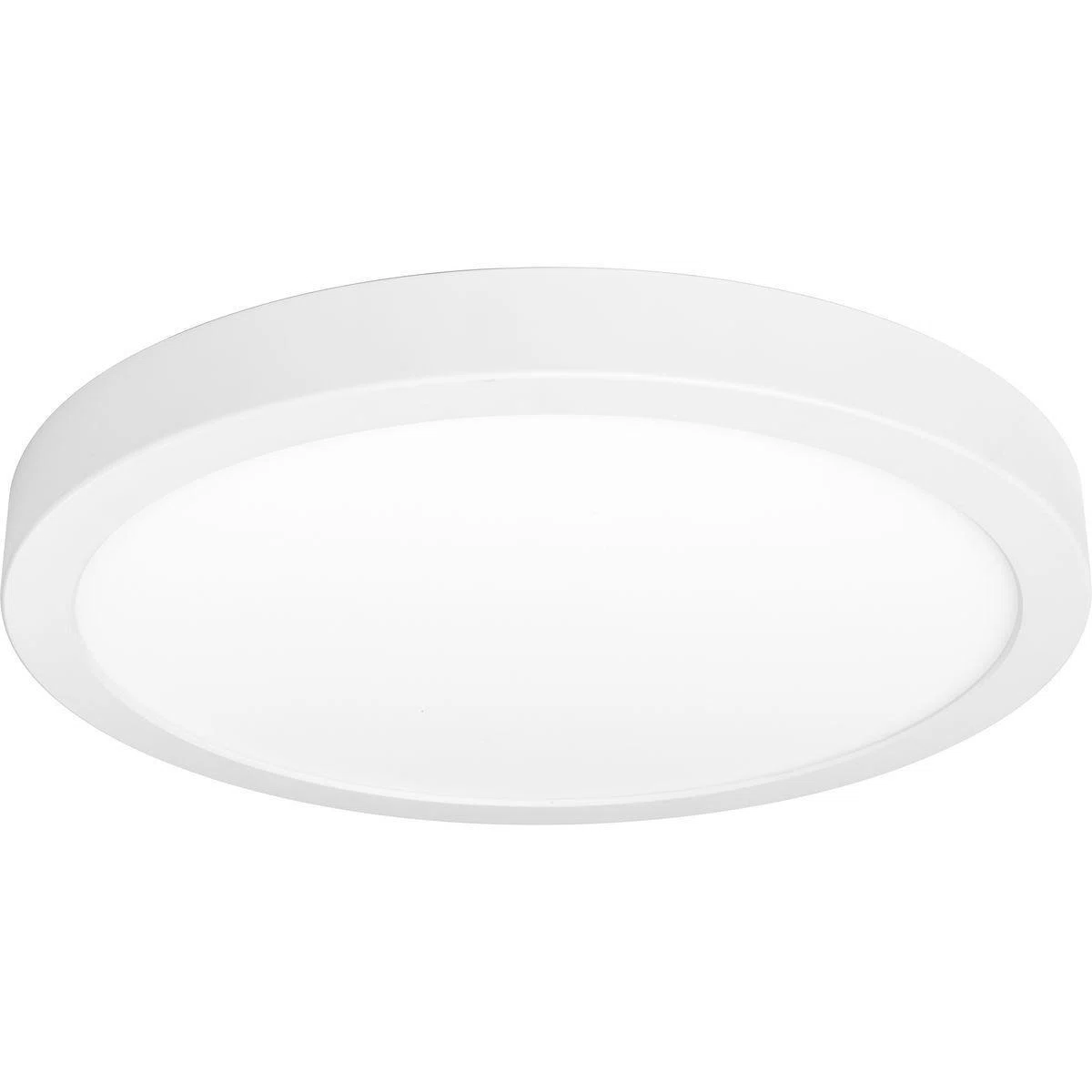 Progress_Lighting_P810017-030-30.jpg