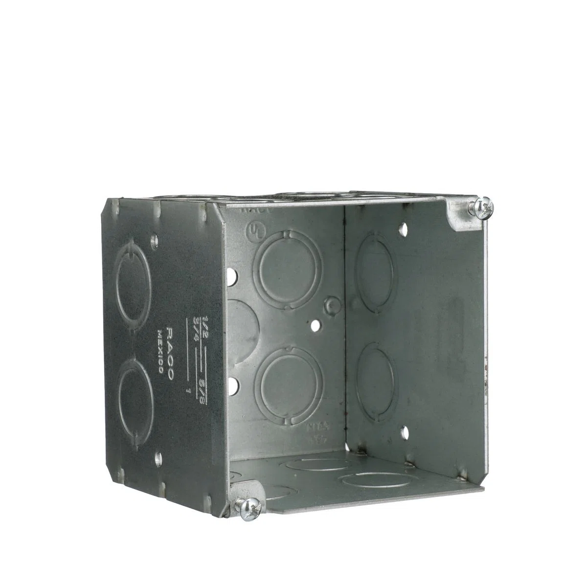 RACO_256_4.jpg