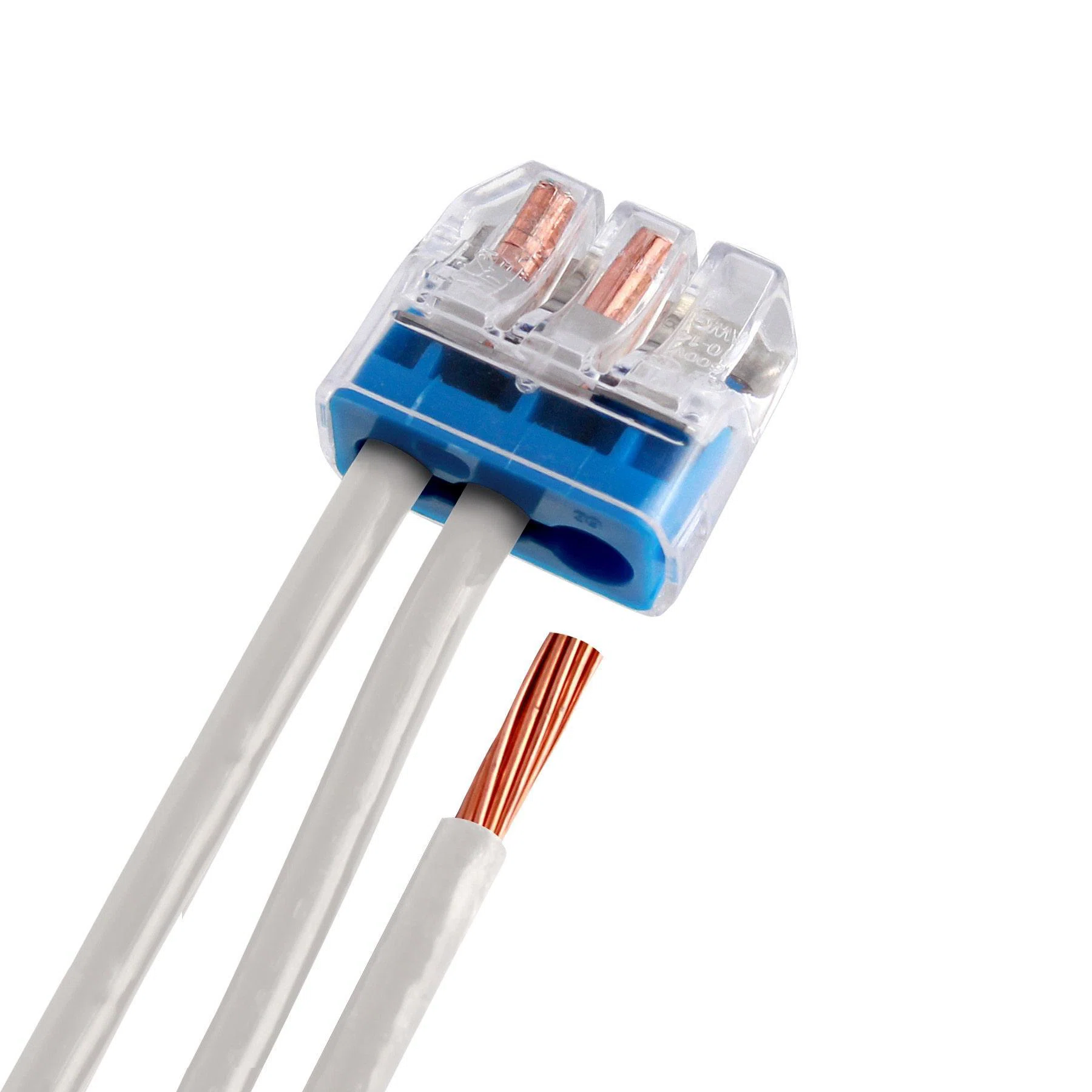 IDEAL_30-1039.jpg