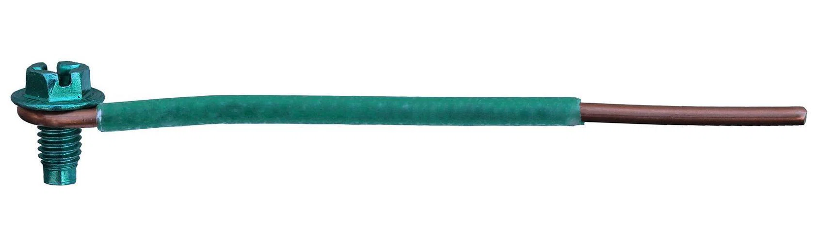 Dottie_GP650.jpg