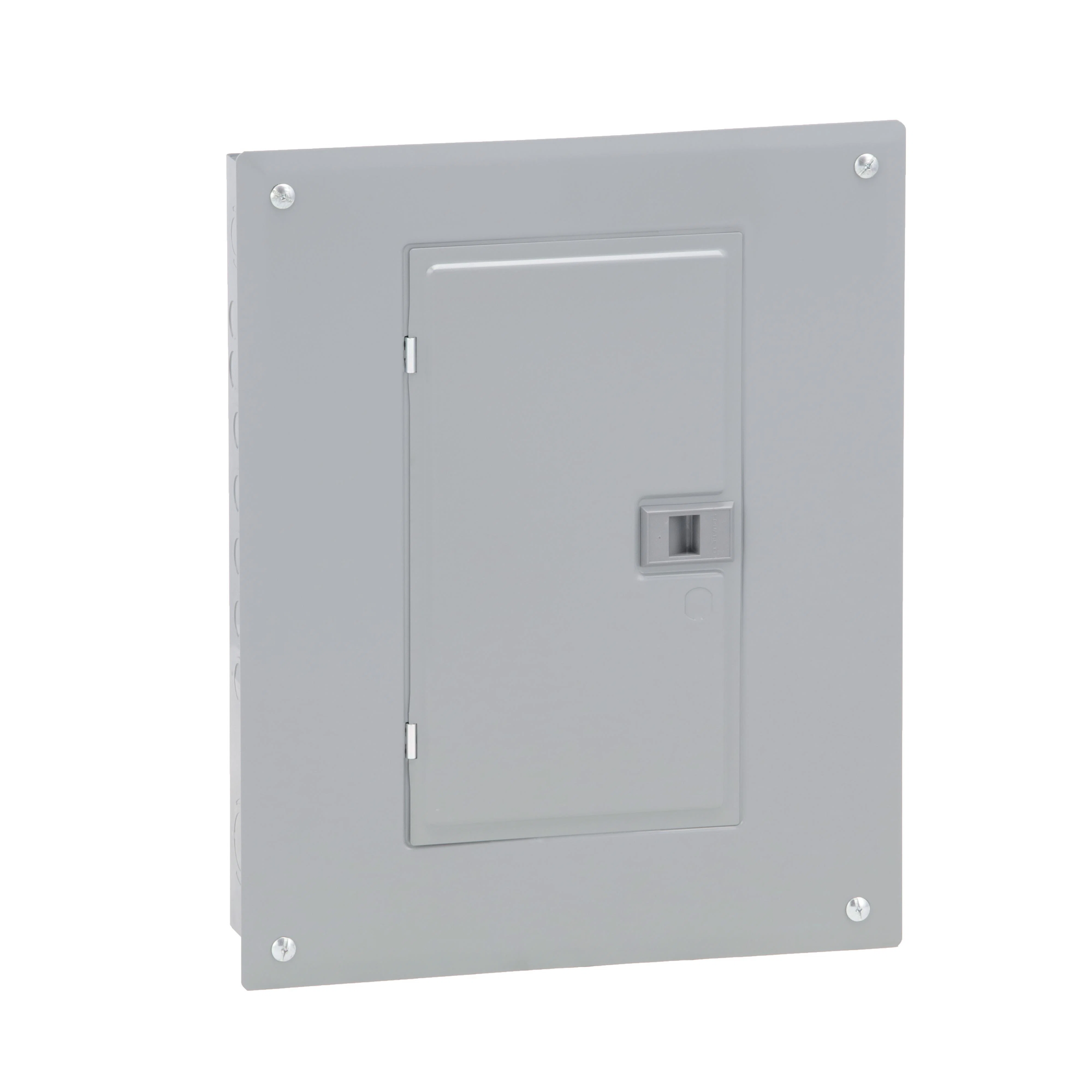 Square_D_HOM1224M100PC.jpg