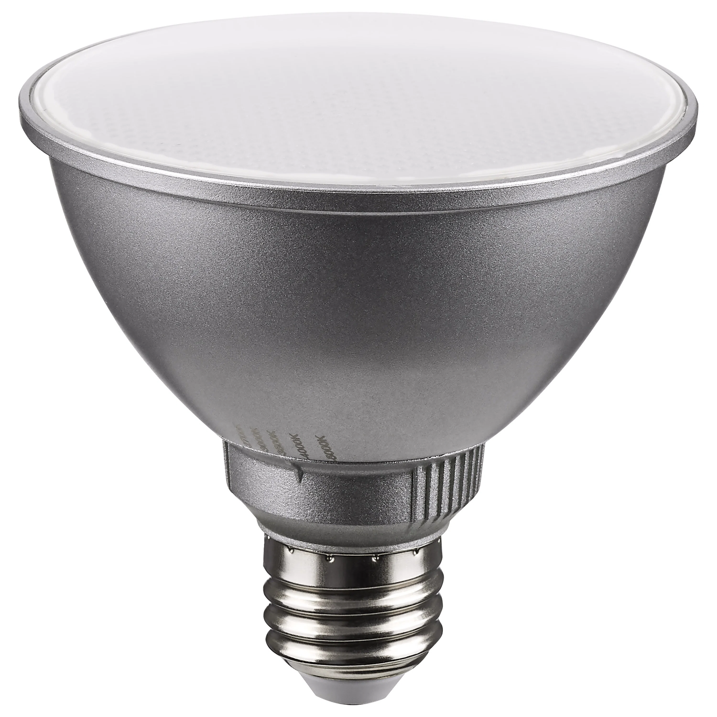 SATCO_S11584_4.jpg