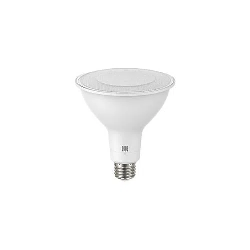 RAB_Lighting_PAR38FA-19-9CCT-40D-DIM.jpg