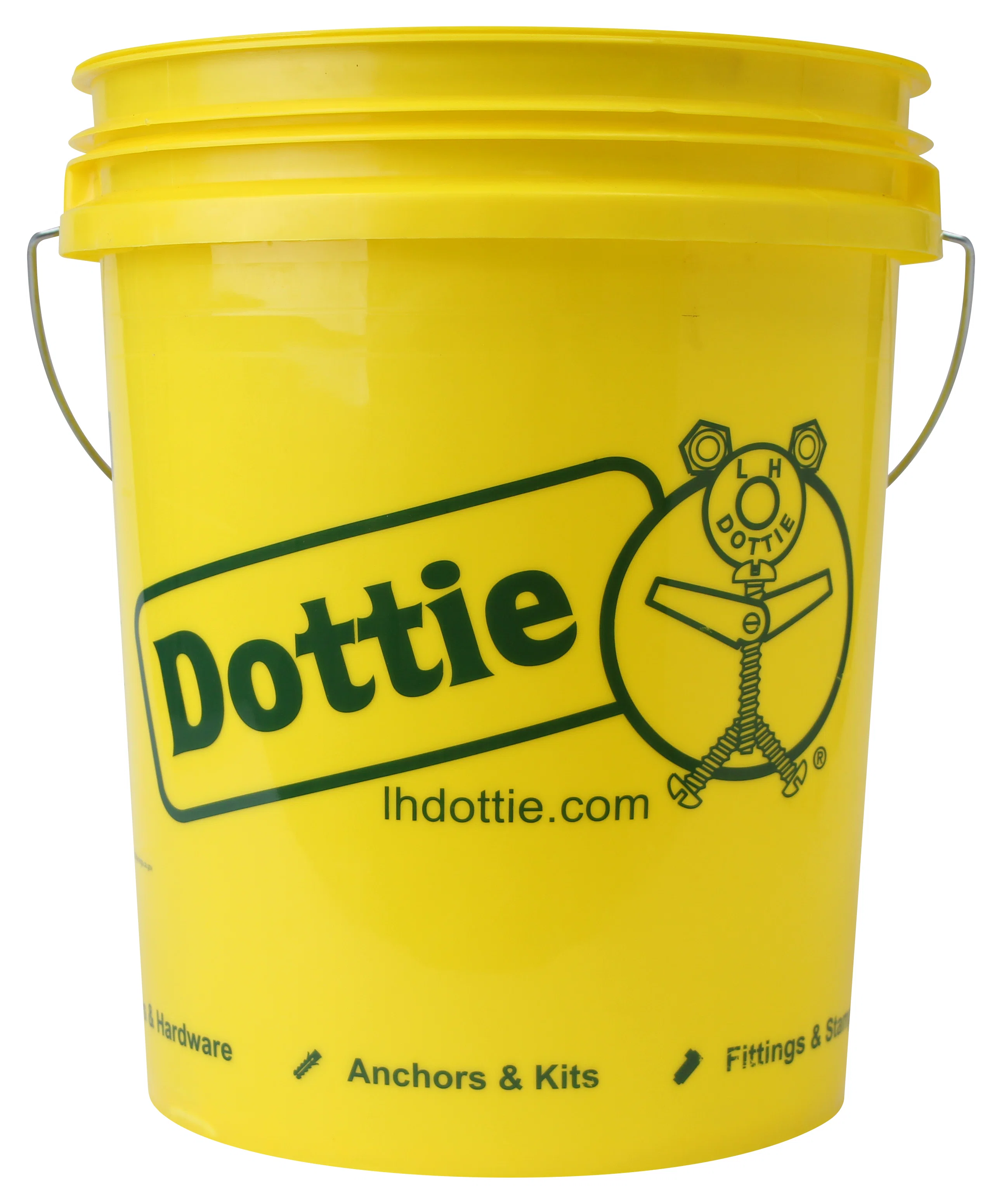 Dottie_D5P.jpg